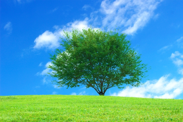 有給休暇について